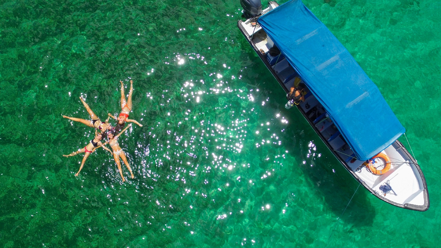 Bocas Adventures - Bocas del Toro Panama