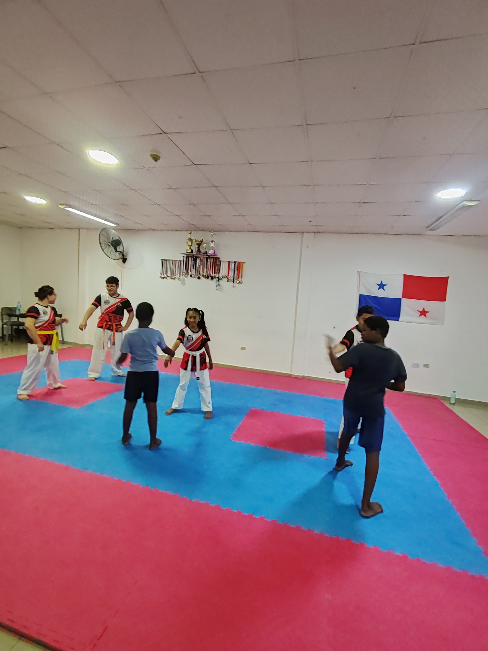 FNS KARATE