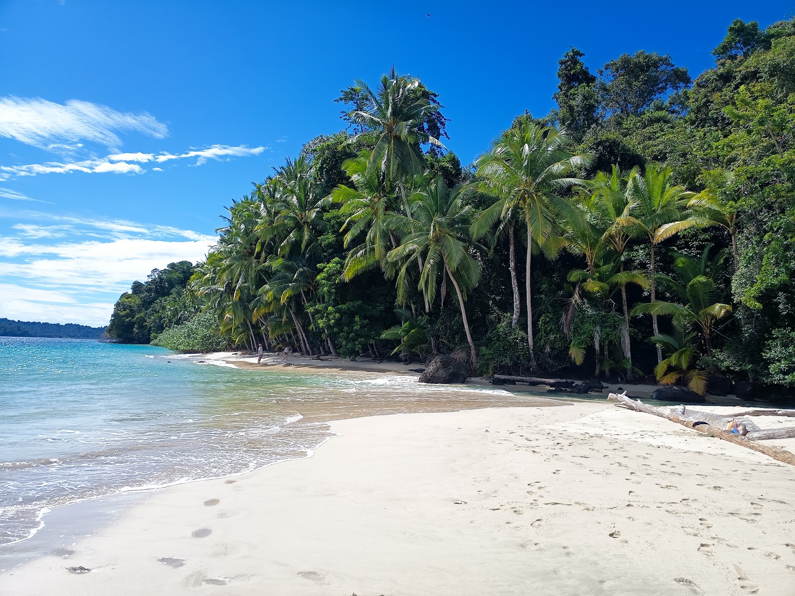 Unlimited Adventures Coiba