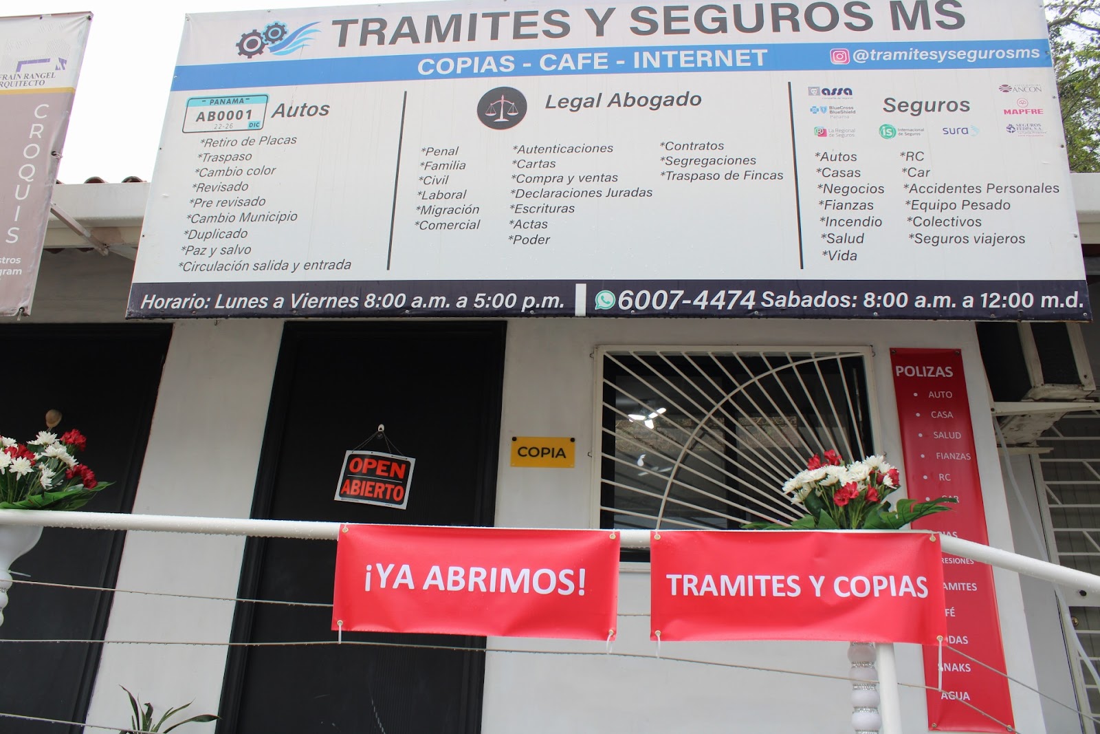 TRAMITES Y SEGUROS MS
