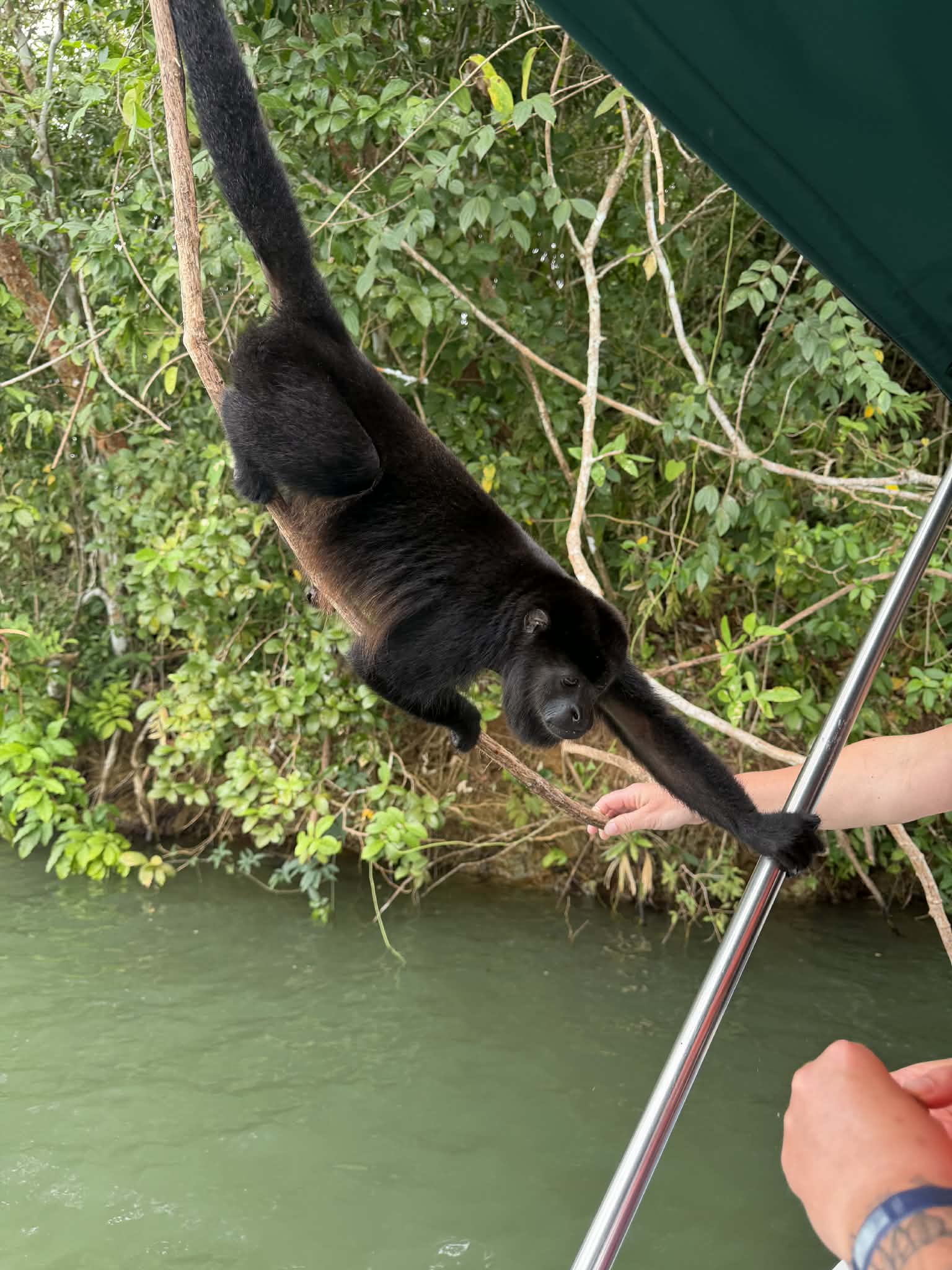 Visit Panama Tour
