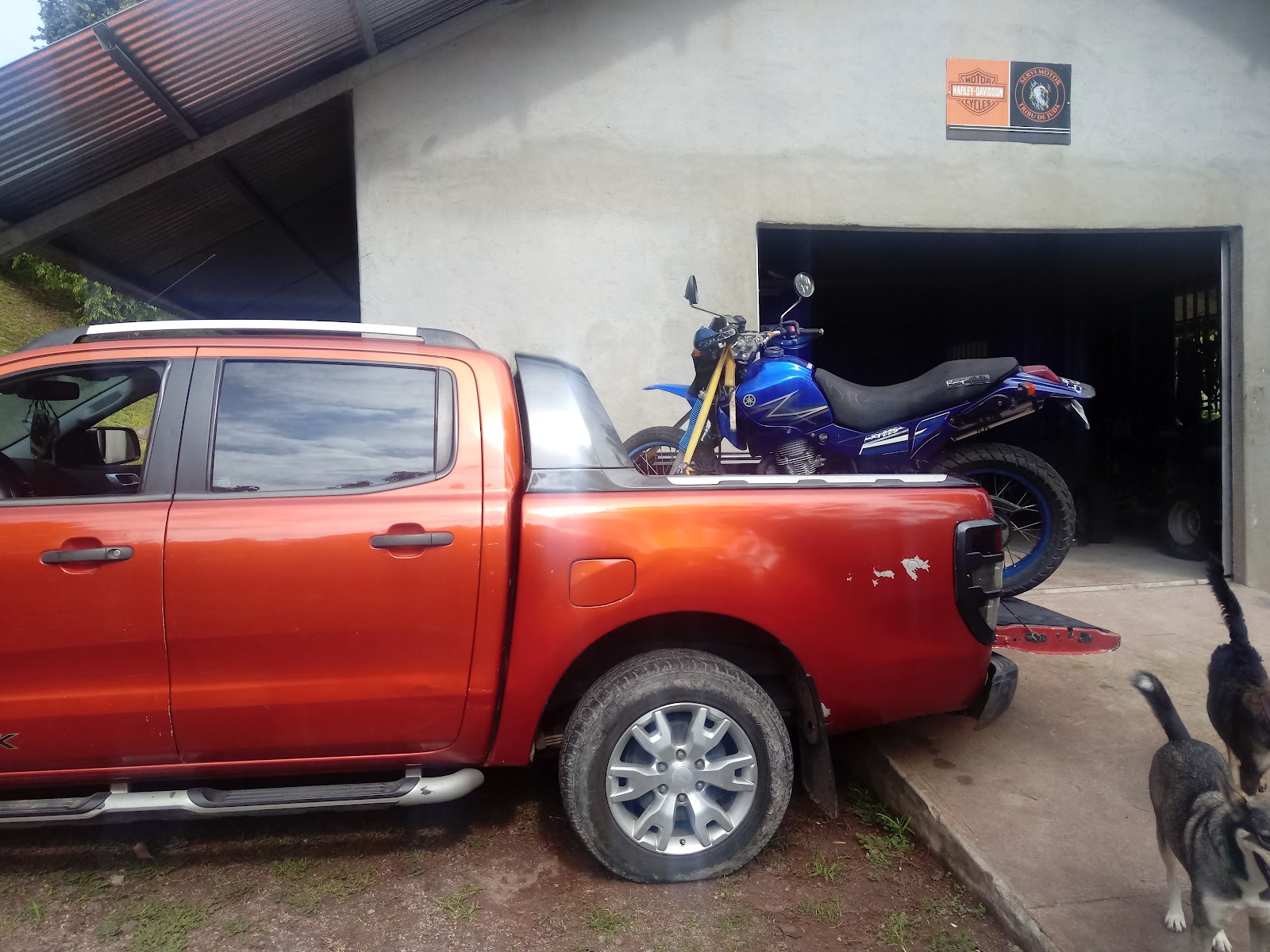 SERVI MOTOR LA TRIBU DE JUDA