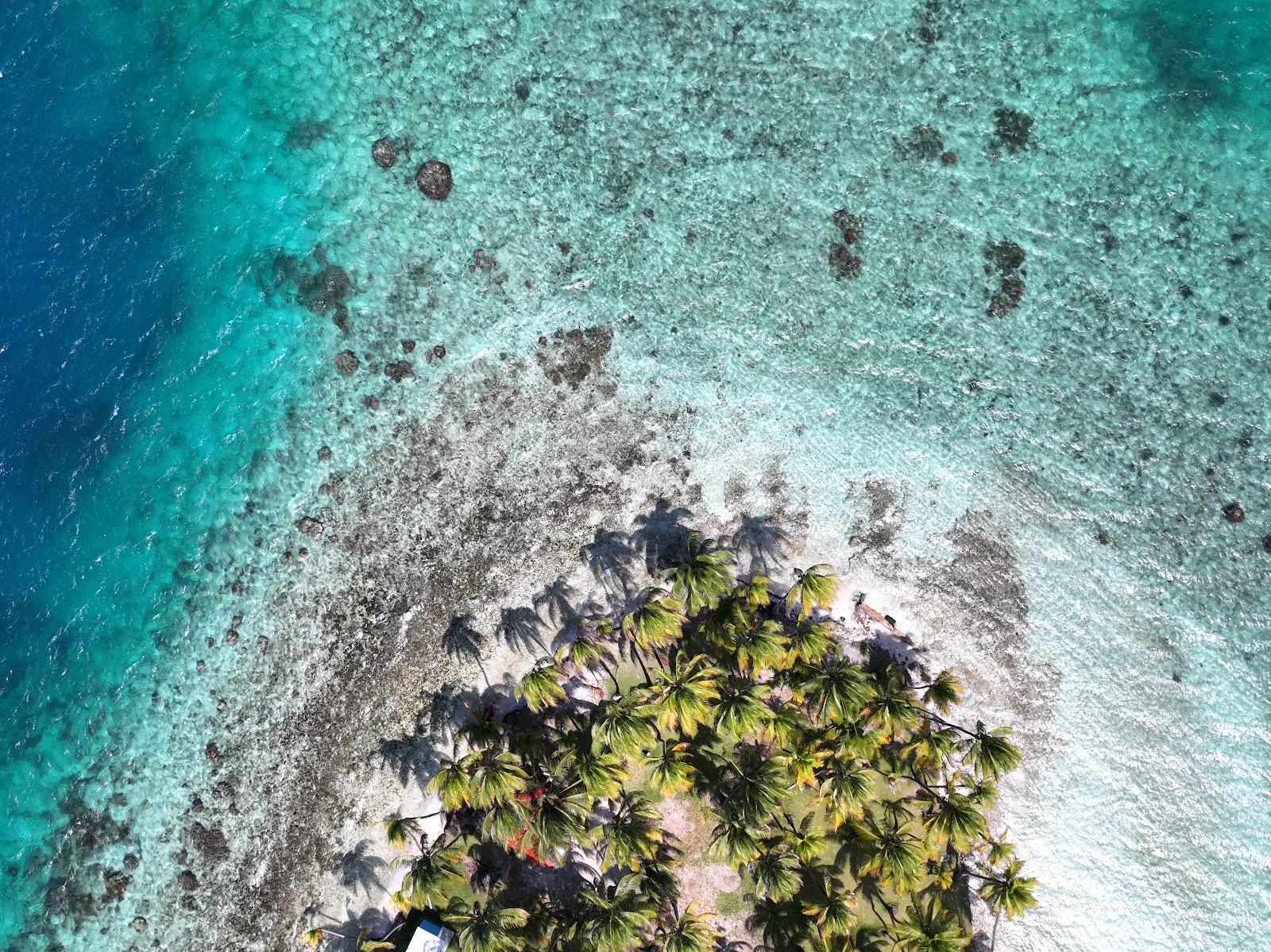 San Blas Dreams • San Blas & Panama Tours