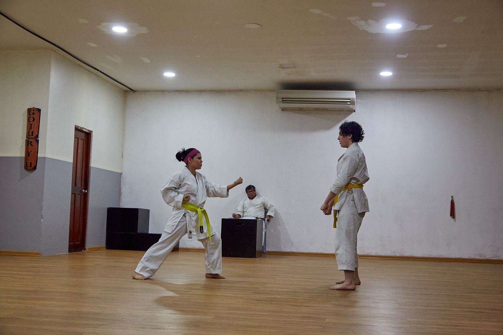 Kyo Kai Loo Goju Ryu Chiriqui