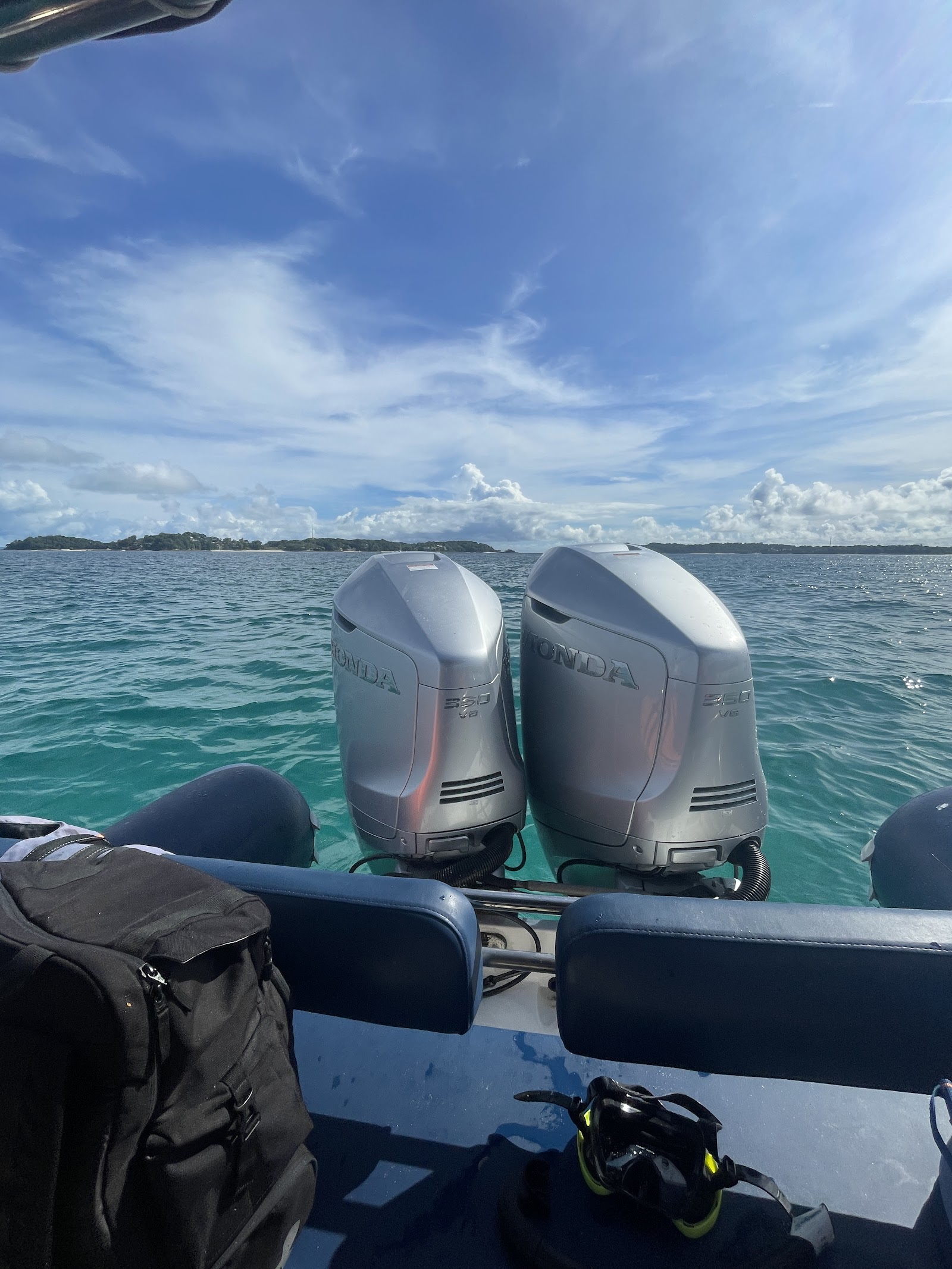 las perlas whale watching by whale express