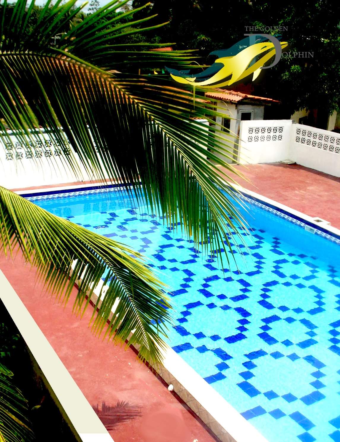 The Golden Dolphin - Centro Recreativo