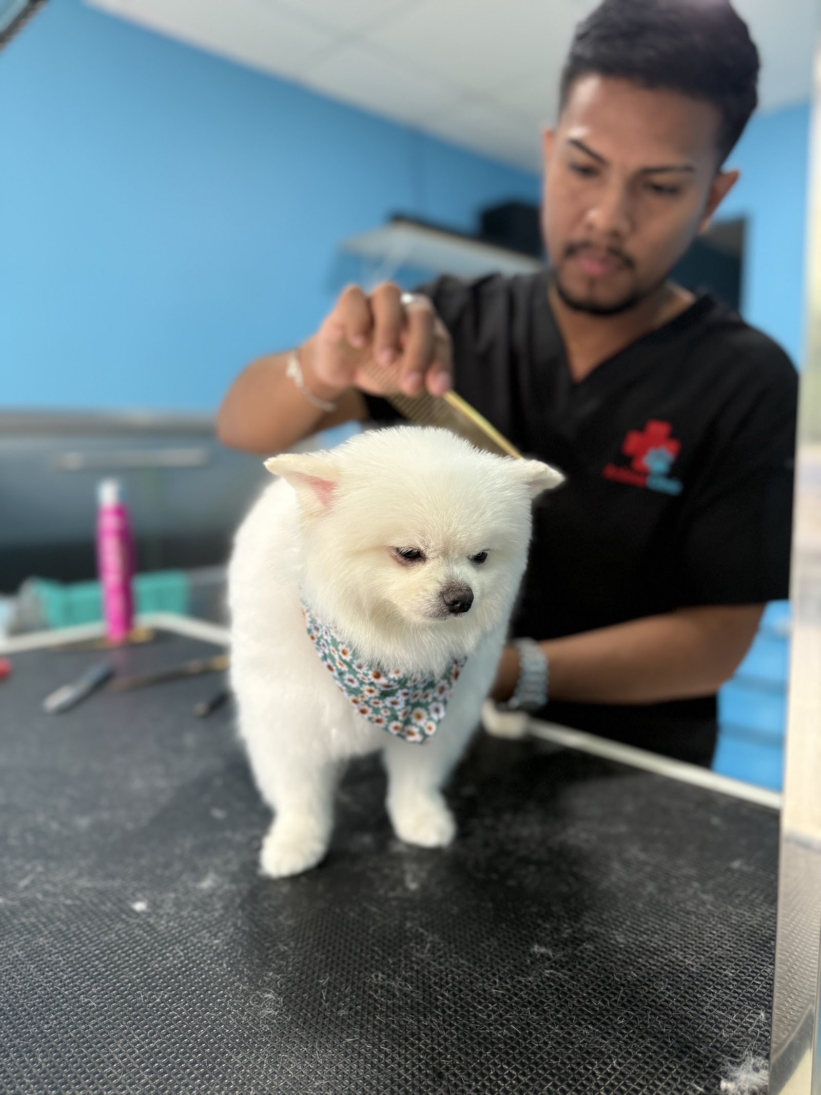 Animal clinic
