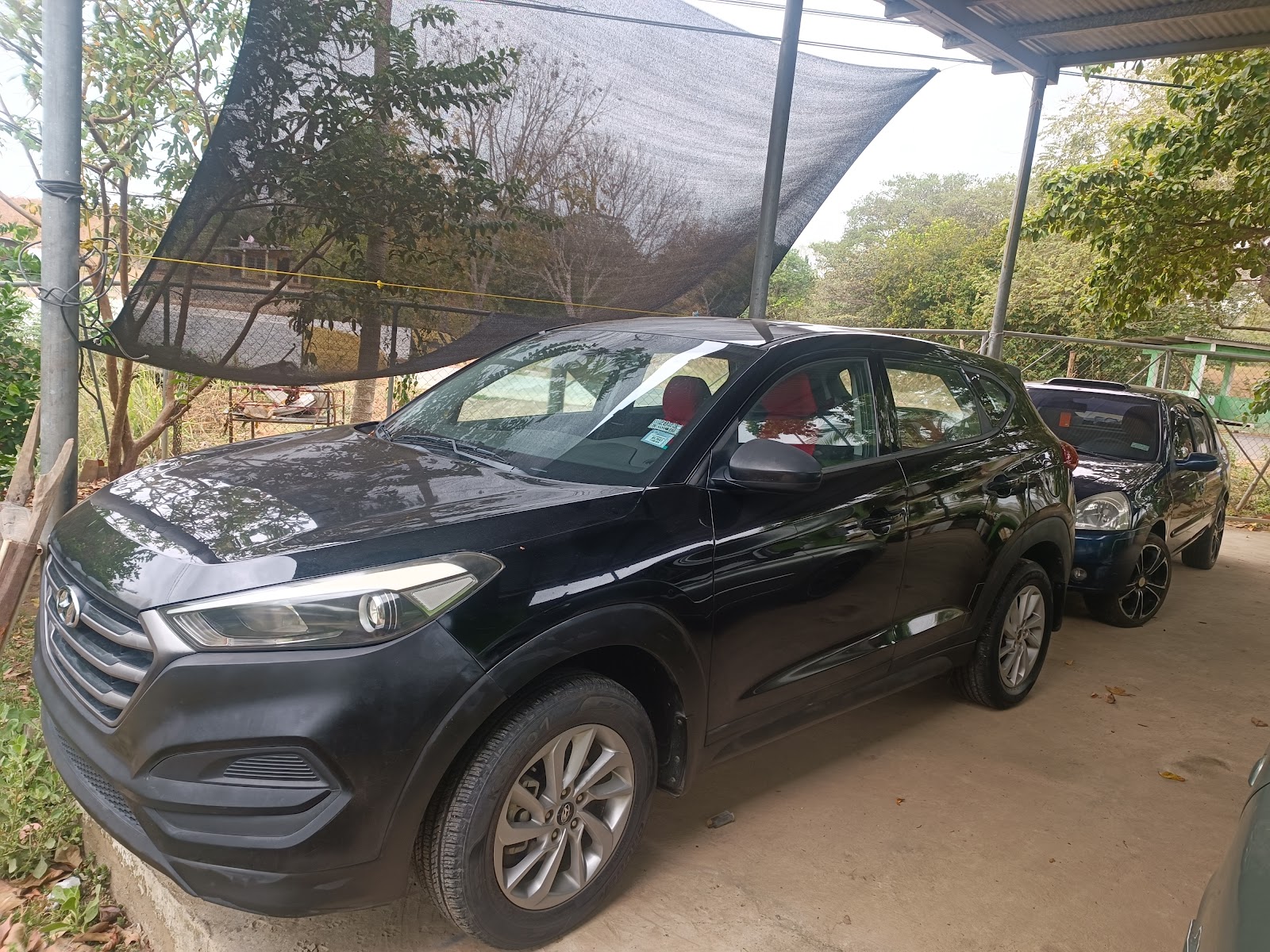 Compra y venta de autos maria