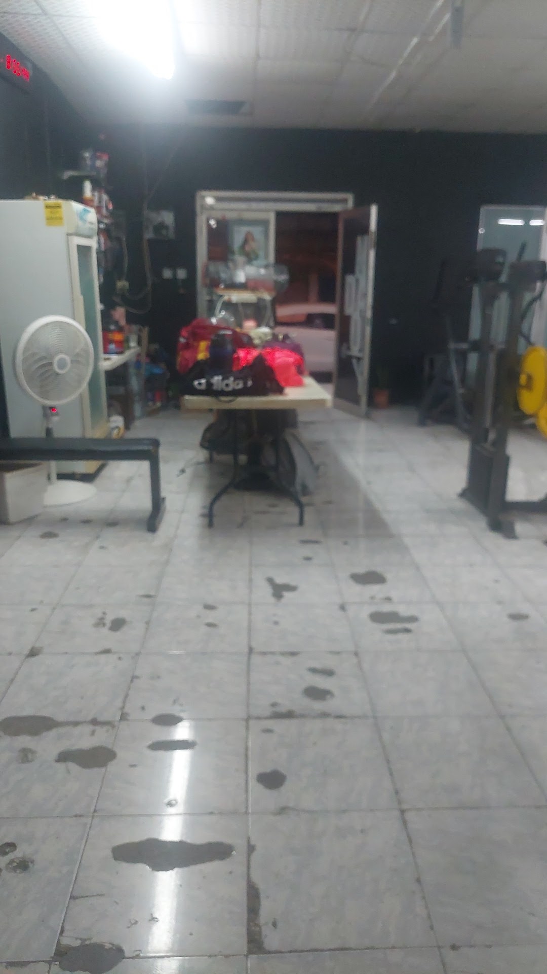 DRAGON GYM