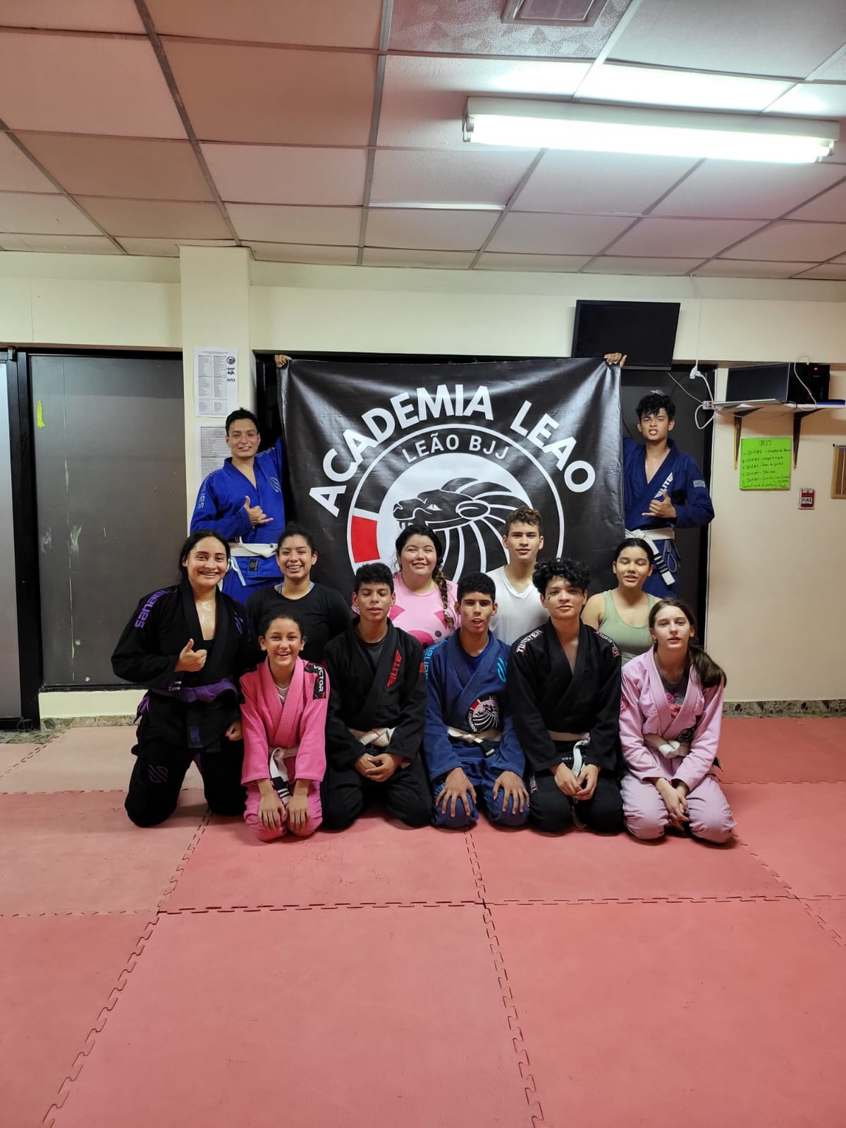 Nela Fisioterapia & academia Leão de jiu jitsu brasileño