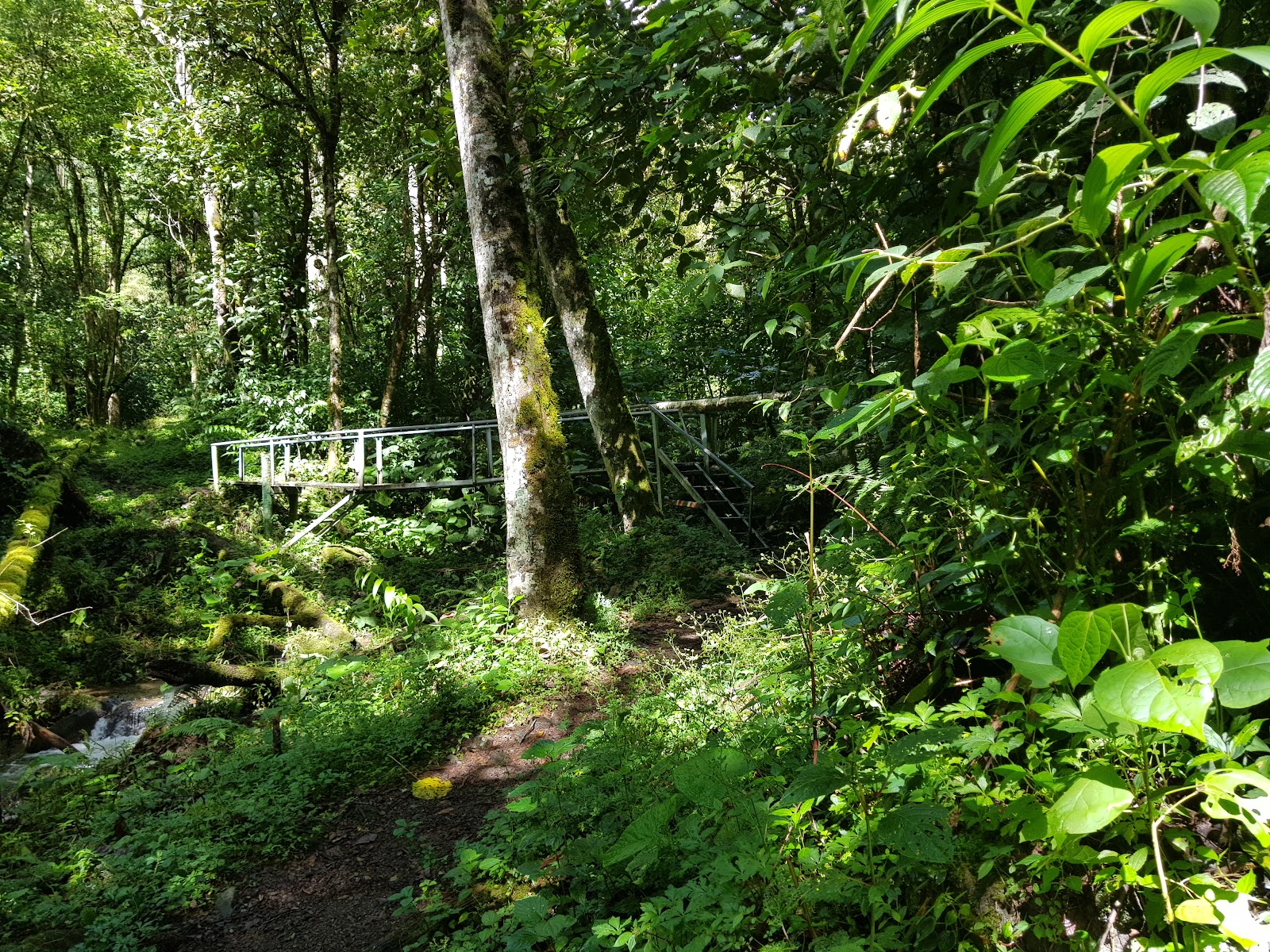 Amistad Park