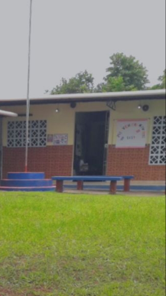 Instituto Profesional Aurelio Villarreal