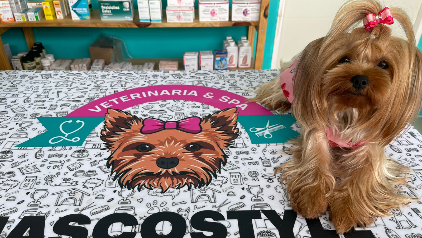 Clínica Veterinaria Mascostyle
